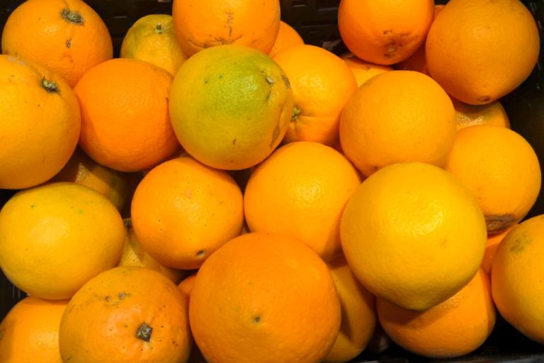 Orangen.jpeg